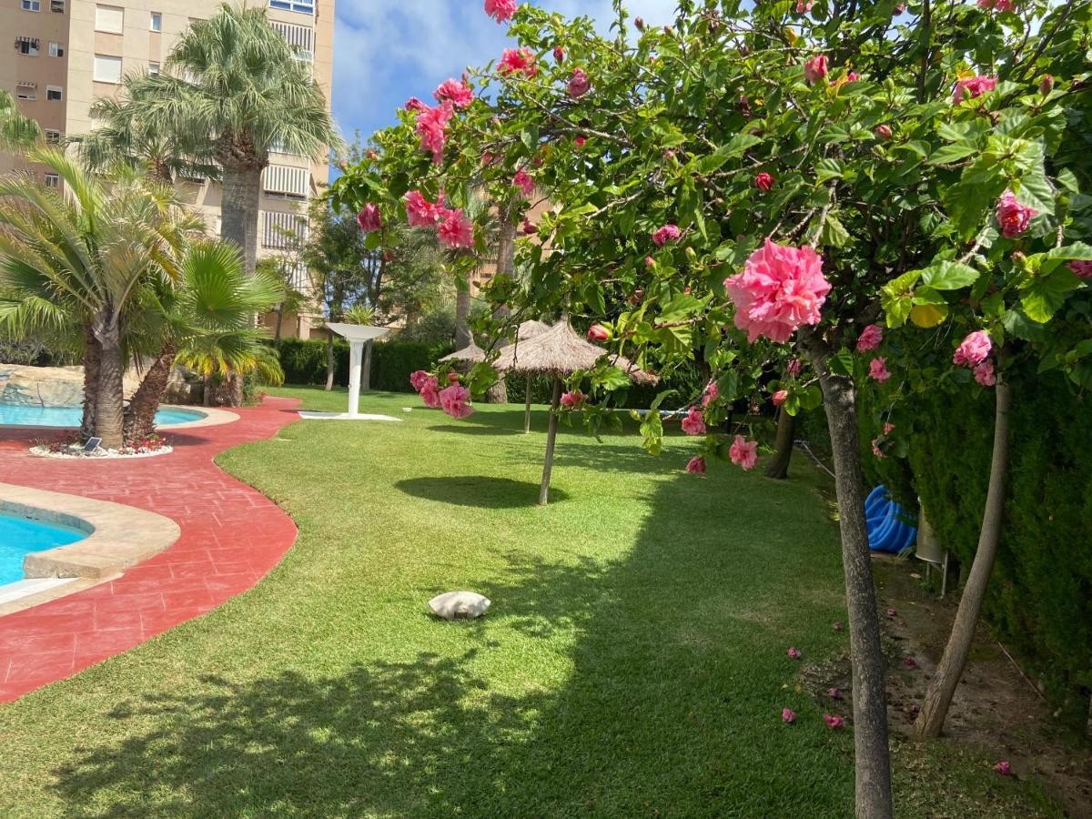 Alicante Apartamento En La Playa Muchavista-San Juan - Marluma Frente Al Mar La Venteta Εξωτερικό φωτογραφία